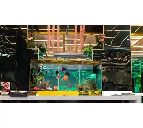 Eden Sushi