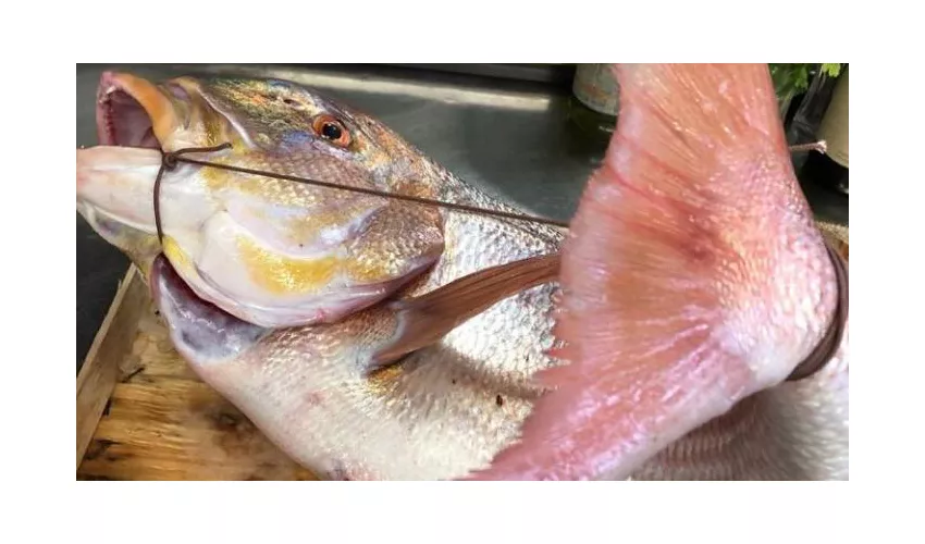 Spanò - Restaurant & Sushi bar