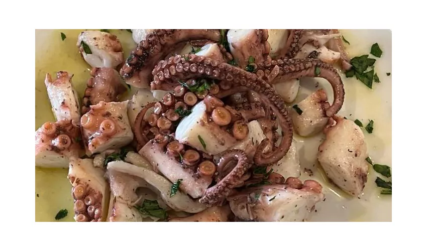 GASTAREA | Ristorante Pizzeria