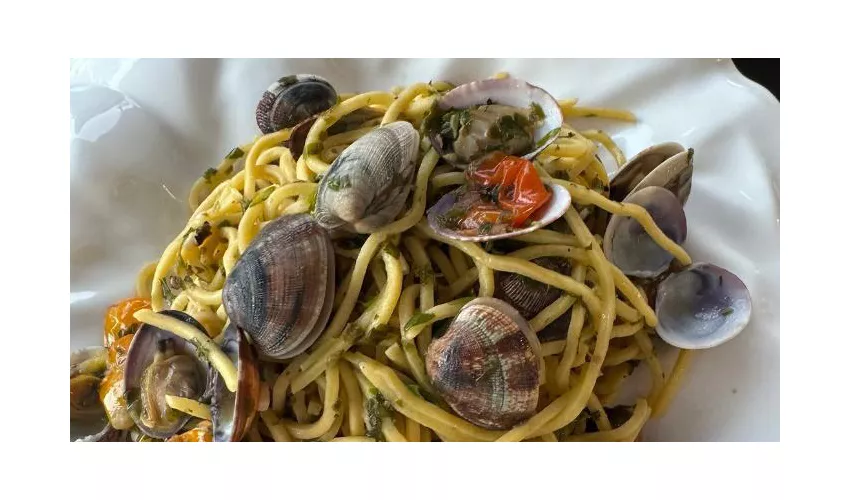 Mustaccun By Calypso