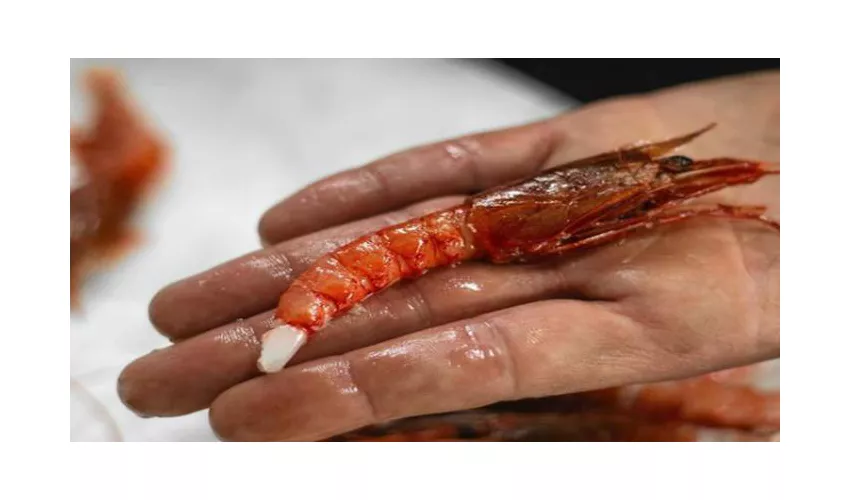 Forte Campana Ristorante Pizzeria