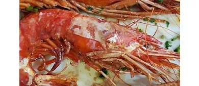 Pizzeria Ristorante Charlot