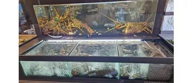 Ristorante Pianeta Mare