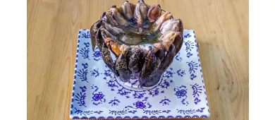 Siamo Fritti