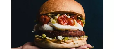 Hosteria Moderna Padova