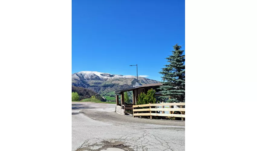 Centro Snow Polsa