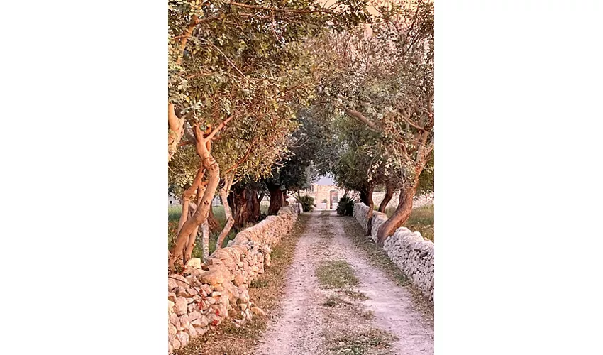 La Chiusa Country House