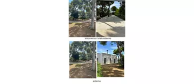 Villa Pineta