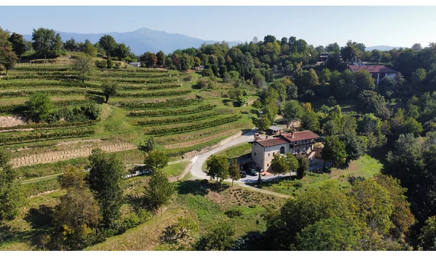 Le Sorgenti