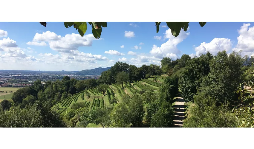 Le Sorgenti