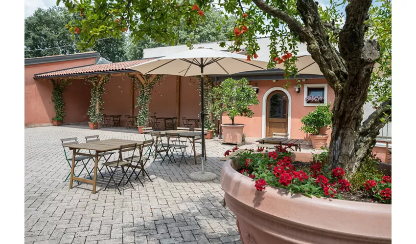 Agriturismo Corte Morandini