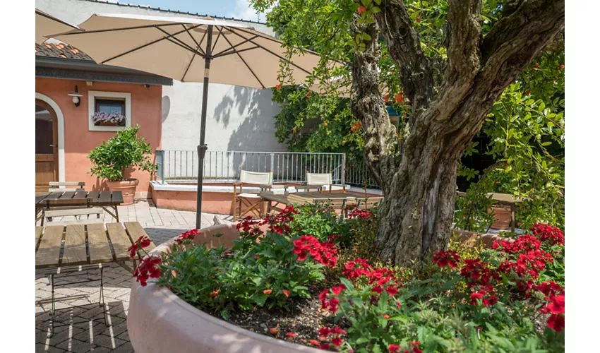 Agriturismo Corte Morandini