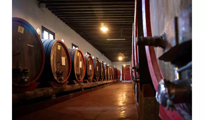 Agriturismo Rechsteiner
