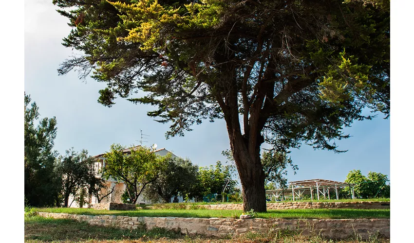Villa Marchetti
