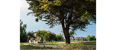 Villa Marchetti