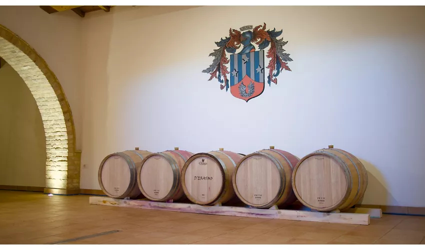 D'Erasmo Vini