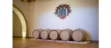 D'Erasmo Vini