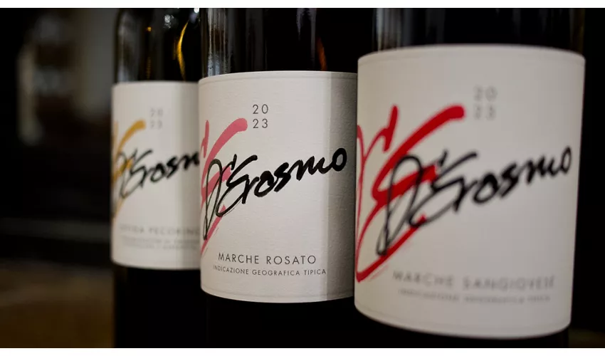 D'Erasmo Vini