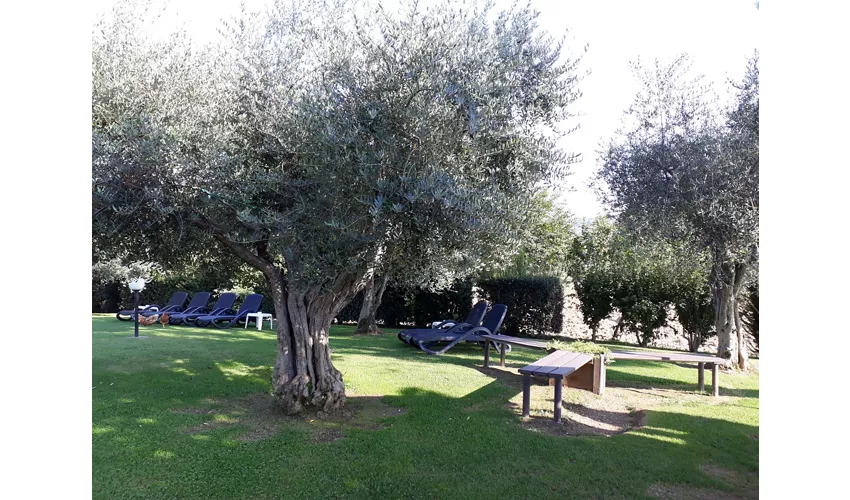 AGRITURISMO LA GIUGGIOLA
