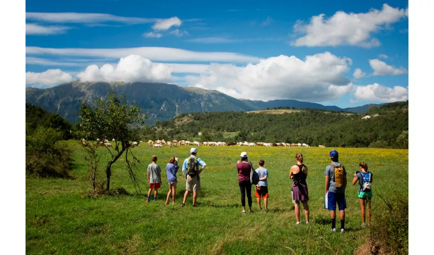 Italia Sweet Italia - Experience Abruzzo and Beyond
