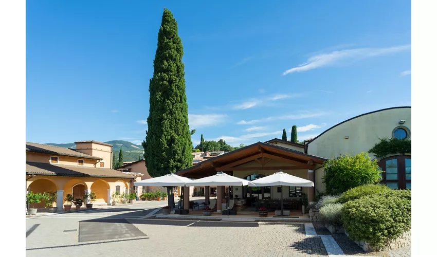 🍷Azienda Agricola Valentina Cubi - Cantina & Agriturismo