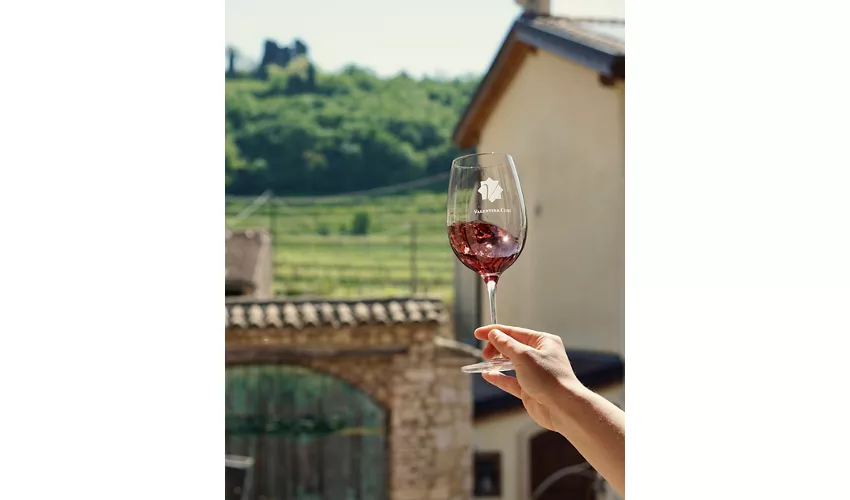 🍷Azienda Agricola Valentina Cubi - Cantina & Agriturismo