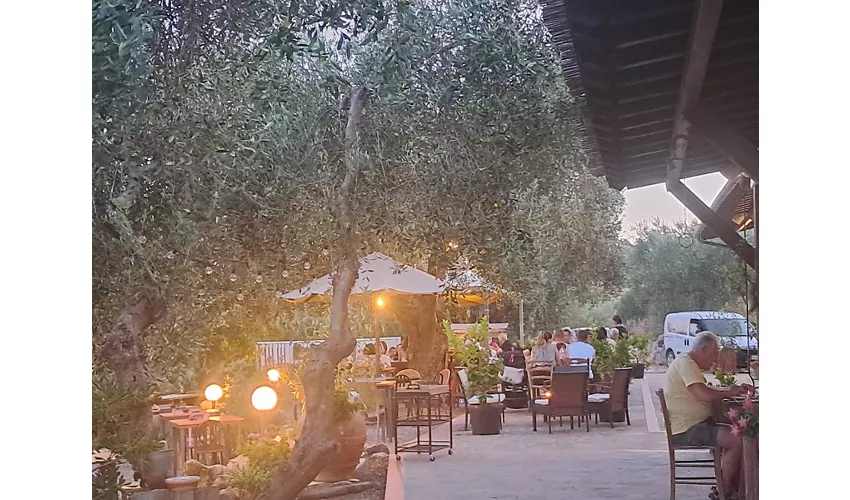 Birra Maremmana AgriPub