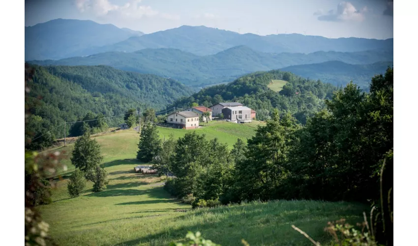 Agriturismo "Il cielo di Strela" di Mario Marini - Azienda agricola biologica