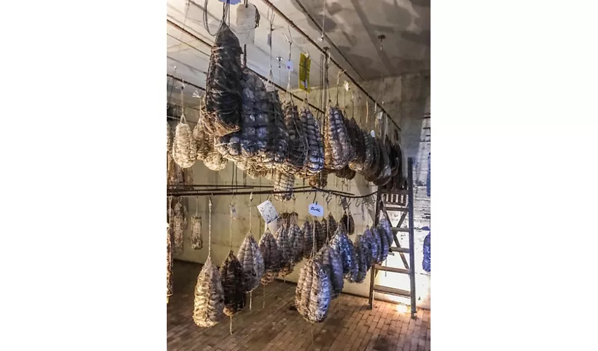 Agriturismo "Il cielo di Strela" di Mario Marini - Azienda agricola biologica