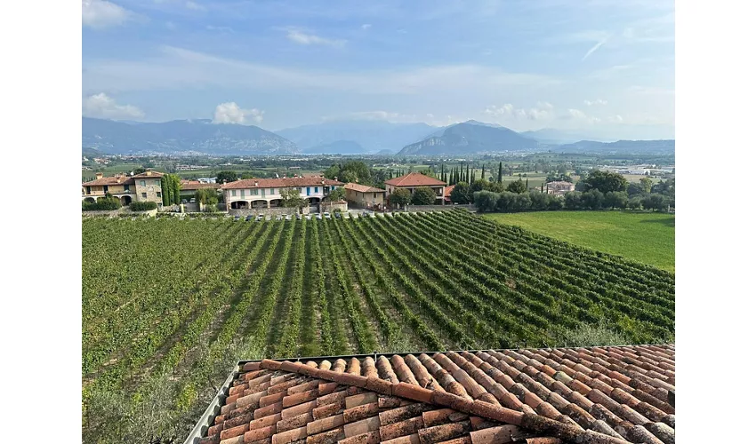 Orme Bike Experience
