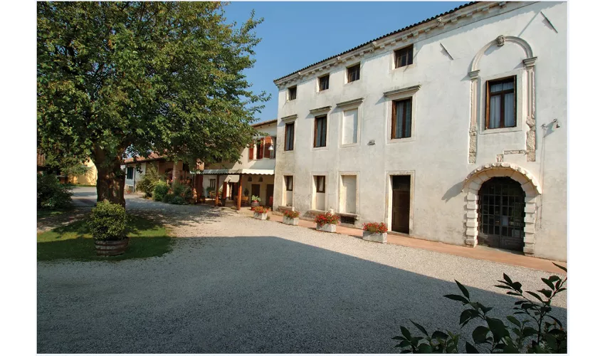 Agriturismo Il Palazzone