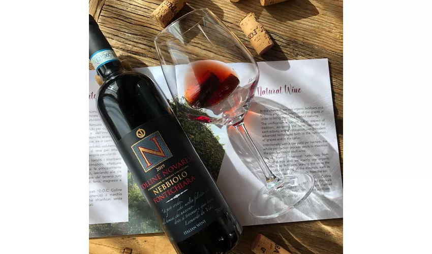 Cantina Fontechiara