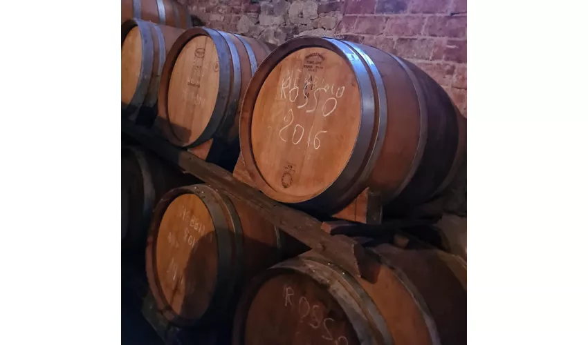 Cantina Fontechiara