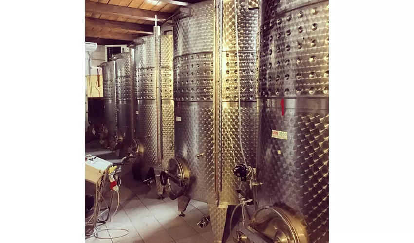Cantina Fontechiara
