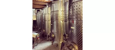 Cantina Fontechiara