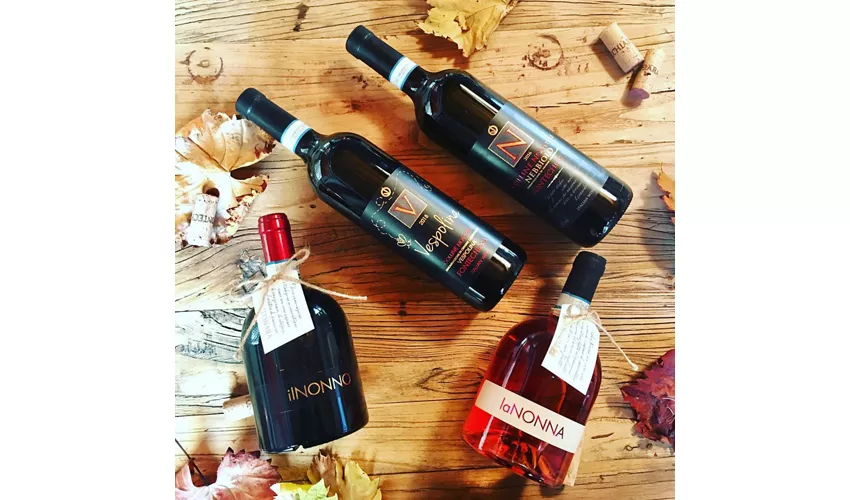 Cantina Fontechiara