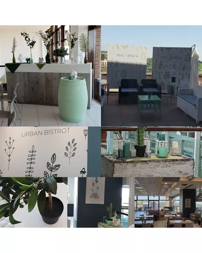 MaiSenza Urban Bistrot