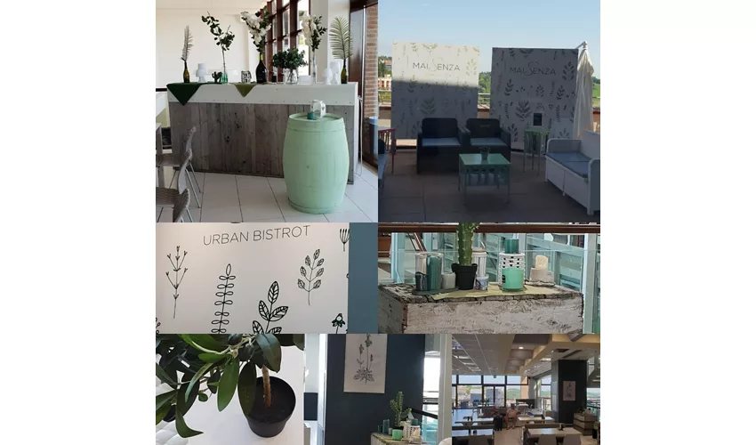 MaiSenza Urban Bistrot