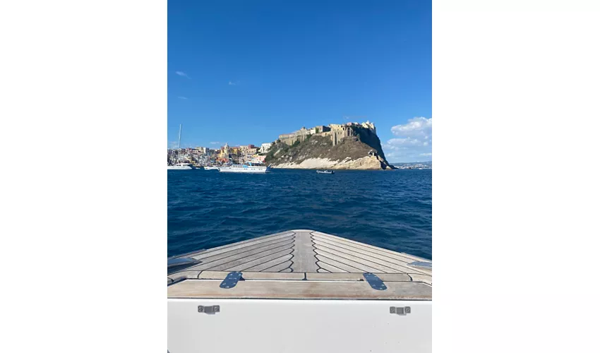Palermo Group