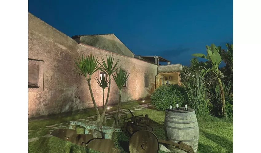 CANTINE - IMMAGINI GENERICHE - Cantine Gulino 1