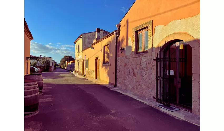 CANTINE - IMMAGINI GENERICHE - Cantine Gulino 2