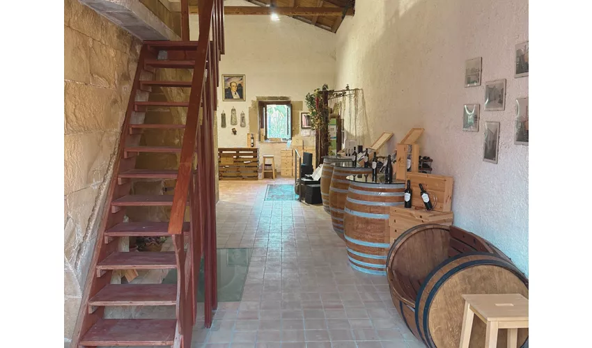 CANTINE - IMMAGINI GENERICHE - Cantine Gulino 3
