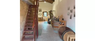 CANTINE - IMMAGINI GENERICHE - Cantine Gulino 3