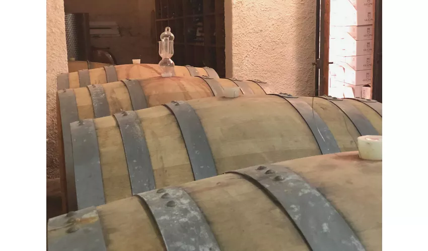 CANTINE - IMMAGINI GENERICHE - Cantine Gulino 5