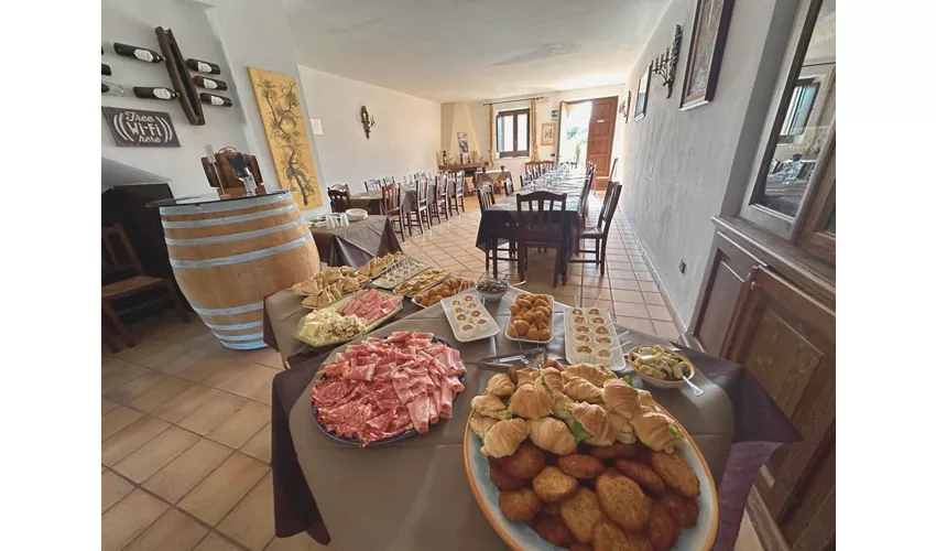 CANTINE - IMMAGINI GENERICHE - Cantine Gulino 7