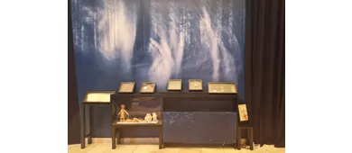 Janua - Museo Streghe Benevento