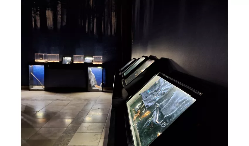 Janua - Museo Streghe Benevento