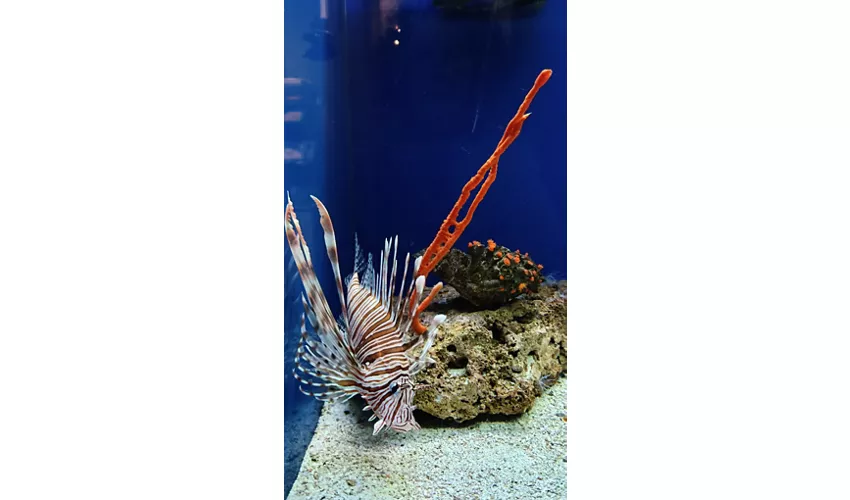 Acquario del Salento