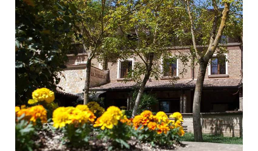 Agriturismo La Sfruscià Resort