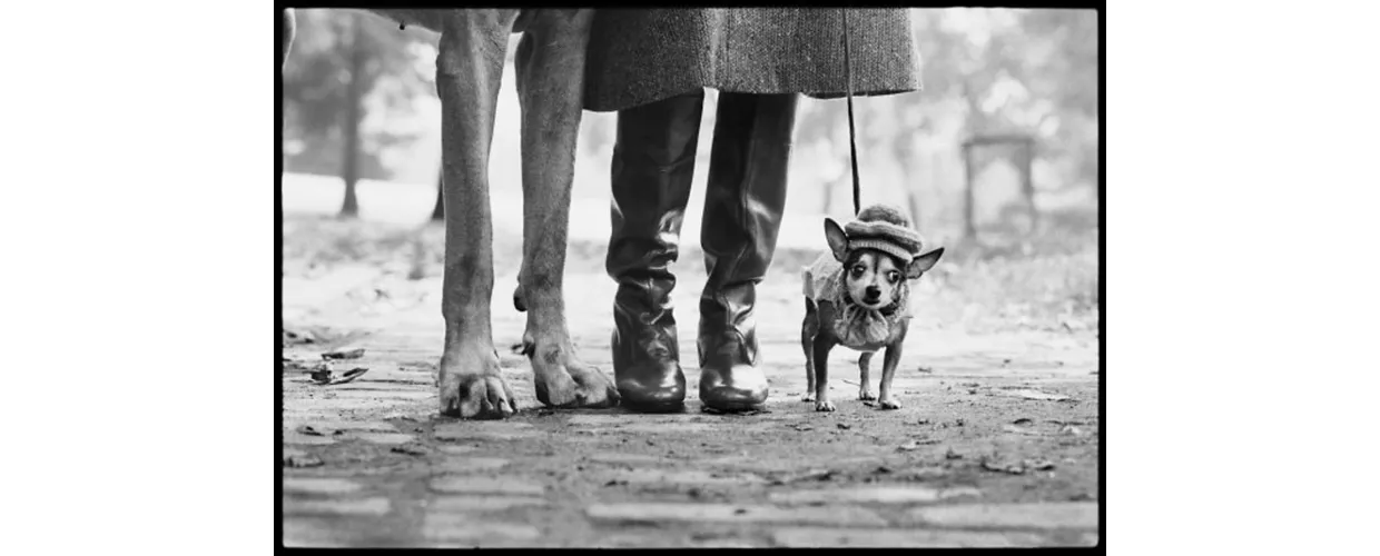 Elliott Erwitt in mostra a Bologna